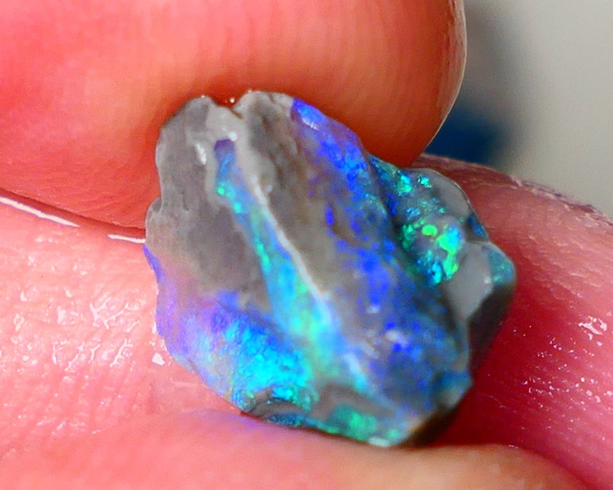 Lightning Ridge Gamble opalised fossil rough showing Exotic Multi colours 3.15cts 13x8x5mm  ALP115