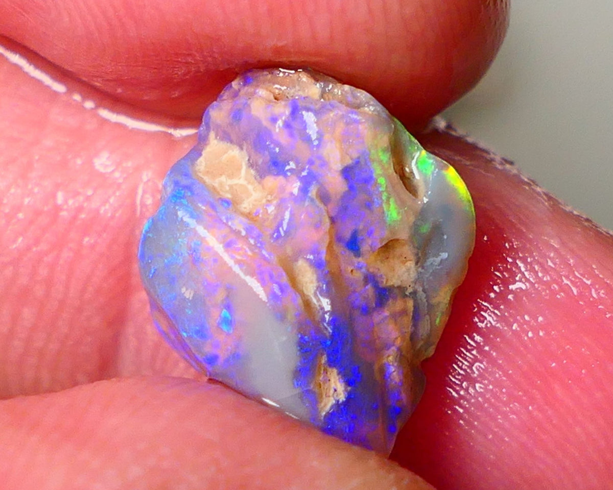 Lightning Ridge Gamble Knobby opal rough showing Very bright Multi colours 6.00cts 16x11x7mm  ALP114