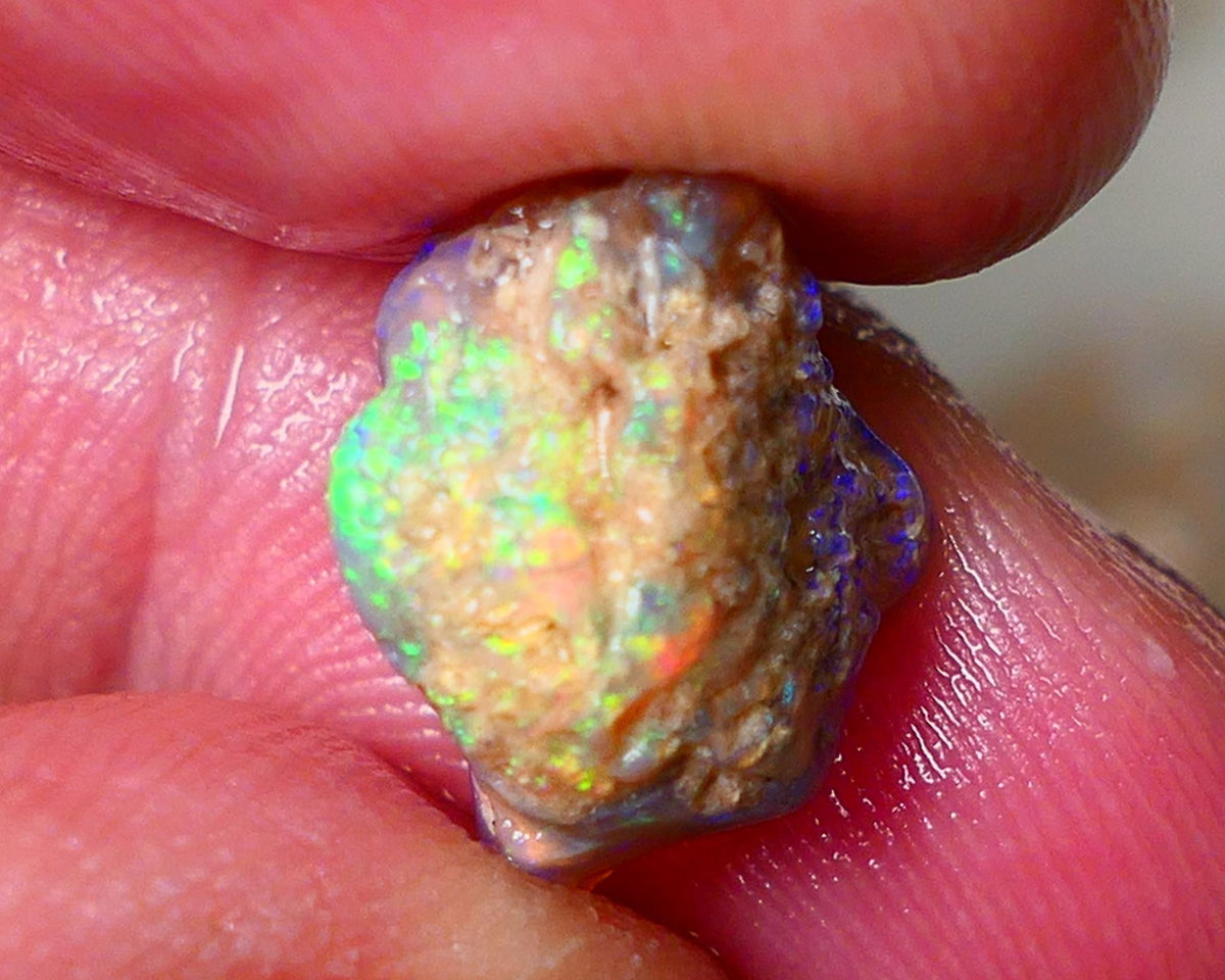 Lightning Ridge Gamble Knobby opal rough showing Very bright Multi colours 6.00cts 16x11x7mm  ALP114