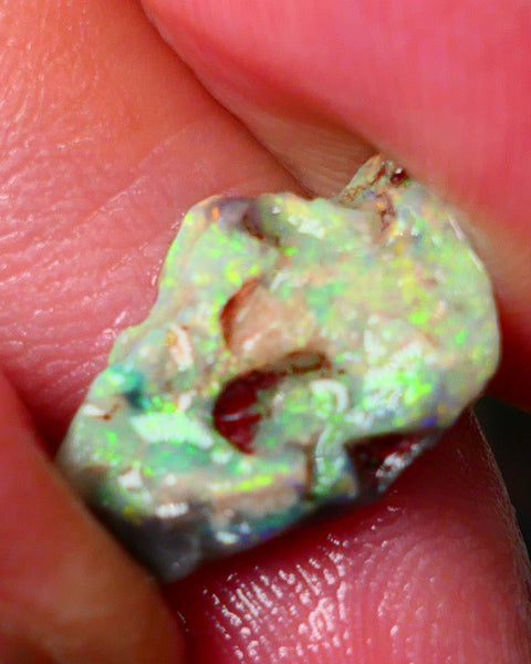 Lightning Ridge Gamble opal rough showing nice bright colours  3.50cts 18x11x4mm ALP111