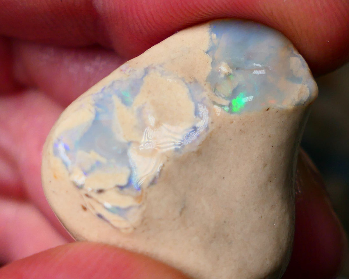 Lightning Ridge Gamble 42.00cts knobby opal formation rough clay/sand host rock 27x26x14mm AUCTION26