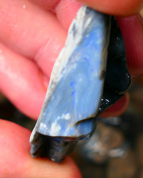 Big Size Lightning Ridge Black Seam opal 68cts showing some flashes of blues colours to gamble 43x26x14mm Auction24