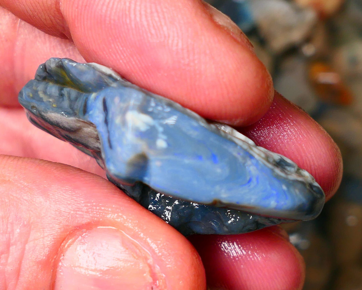 Big Size Lightning Ridge Black Seam opal 68cts showing some flashes of blues colours to gamble 43x26x14mm Auction24