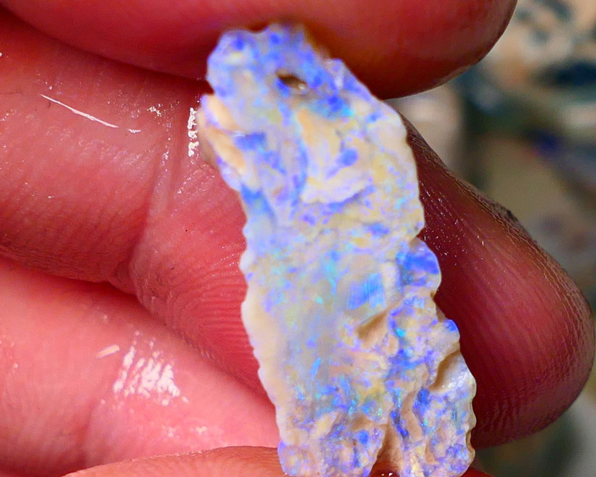 Lightning Ridge Gamble opal rough rub showing nice bright blue colours 26x10x7mm ALP128