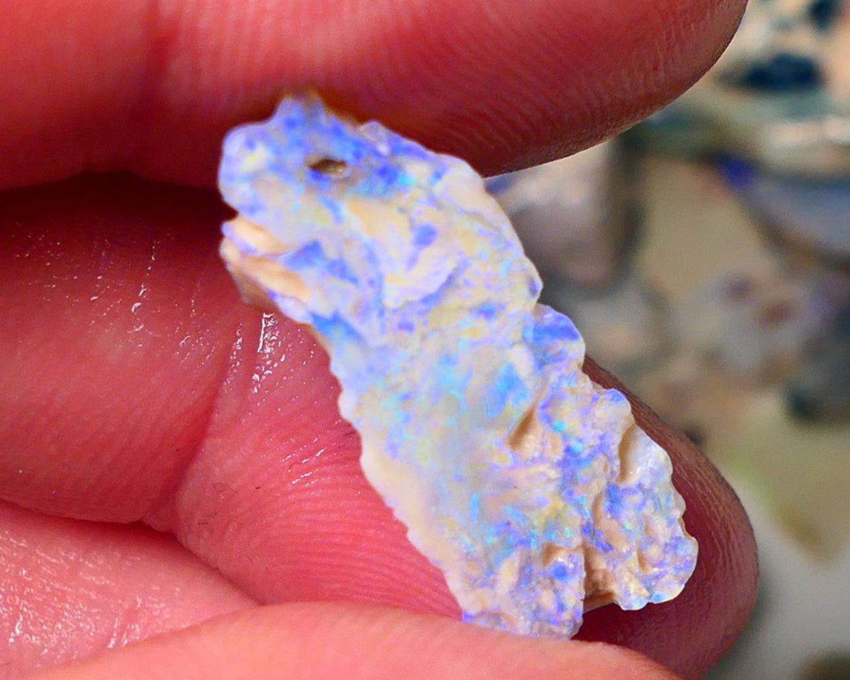 Lightning Ridge Gamble opal rough rub showing nice bright blue colours 26x10x7mm ALP128