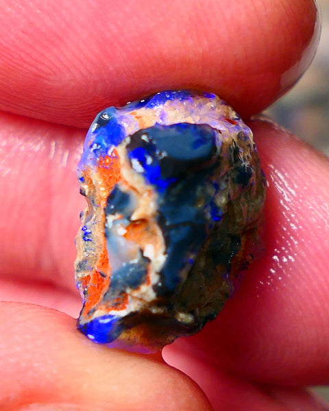 Lightning Ridge Gamble knobby opal rough showing nice bright Blue colours 17x13x9mm ALP130