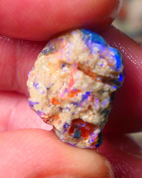 Lightning Ridge Gamble knobby opal rough showing nice bright Blue colours 17x13x9mm ALP130