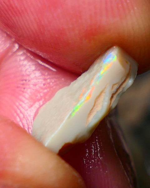 Lightning Ridge Gamble Seam opal rough 3.25cts Displaying  Vibrant & bright Multi colours 15x10x3mm ALP132