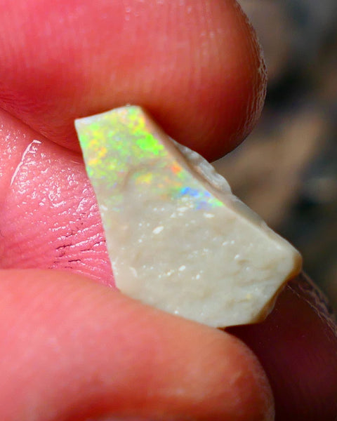 Lightning Ridge Gamble Seam opal rough 3.25cts Displaying  Vibrant & bright Multi colours 15x10x3mm ALP132