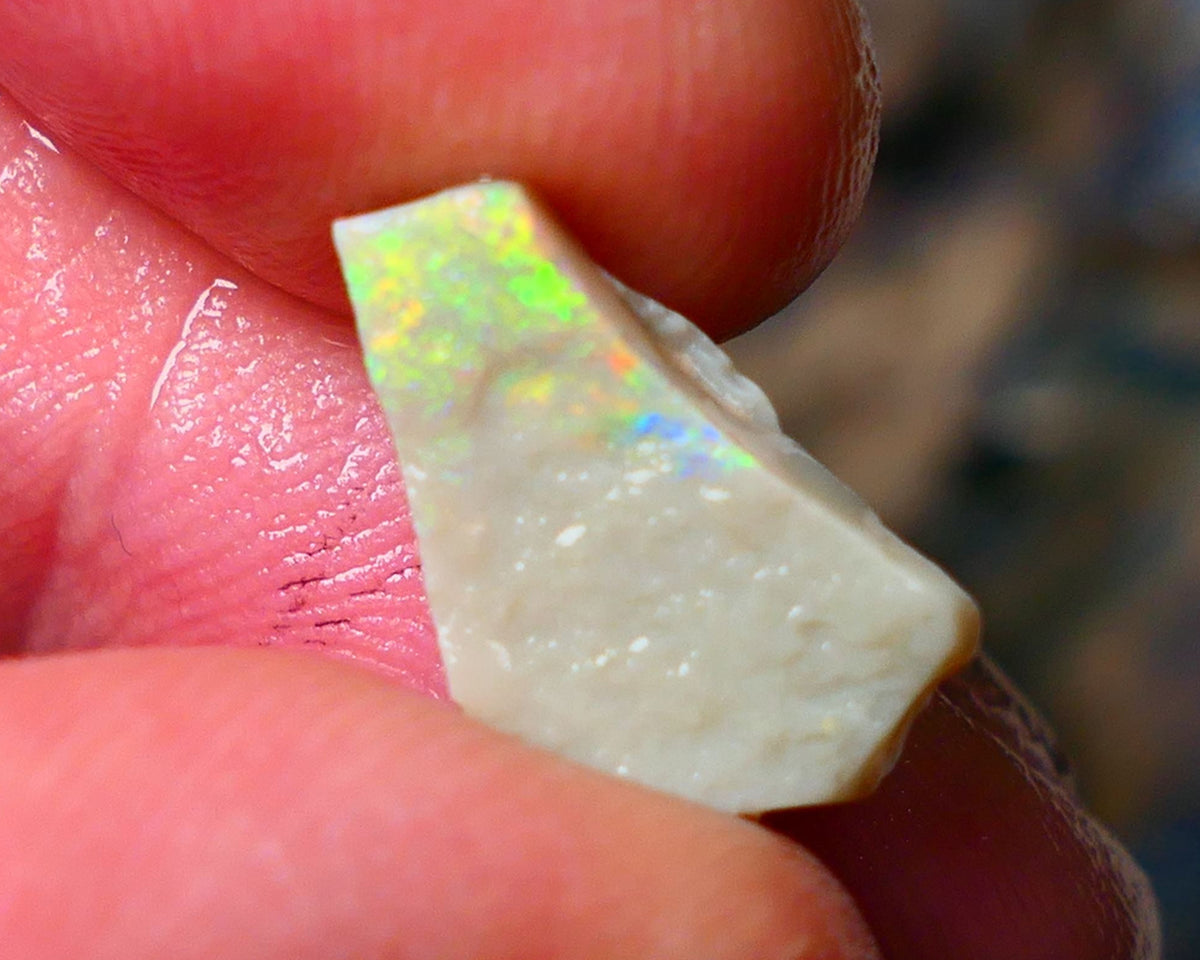 Lightning Ridge Gamble Seam opal rough 3.25cts Displaying  Vibrant & bright Multi colours 15x10x3mm ALP132