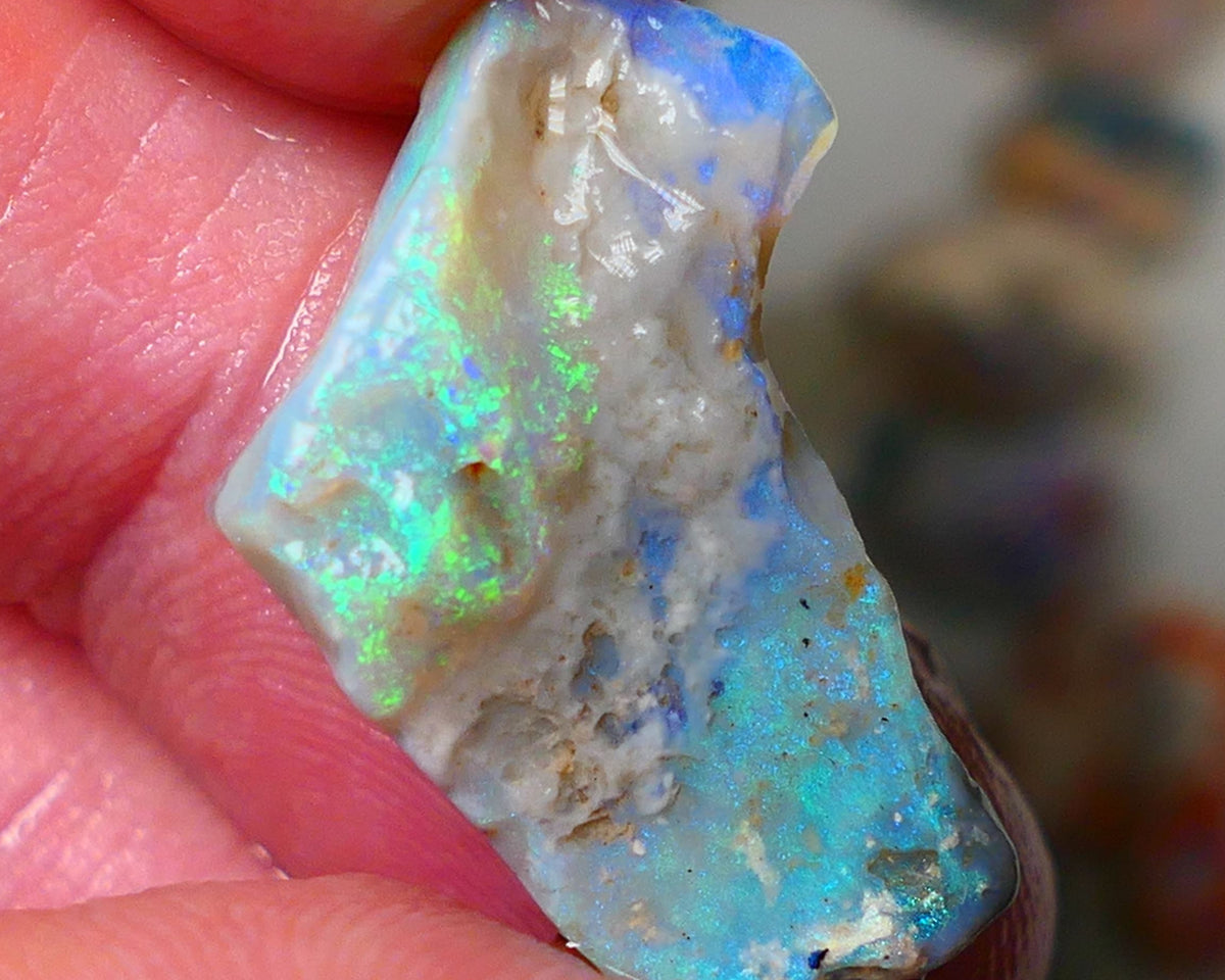 Lightning Ridge Gamble opal rough 11.50cts showing nice bright Multi colours 24x17x7mm ALP136