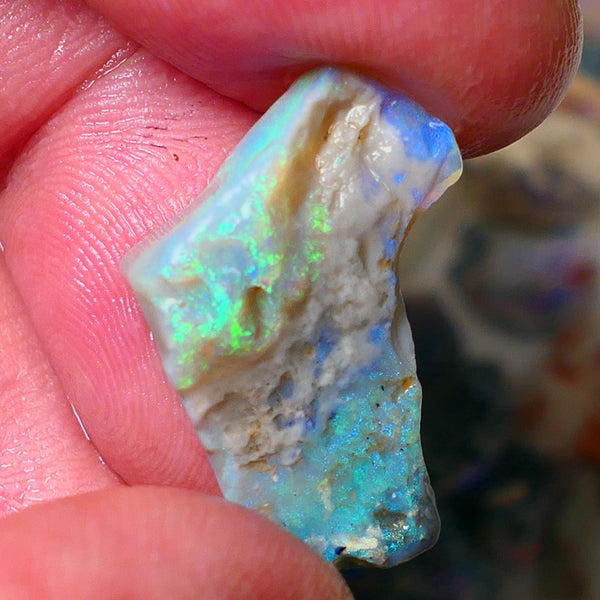 Lightning Ridge Gamble opal rough 11.50cts showing nice bright Multi colours 24x17x7mm ALP136