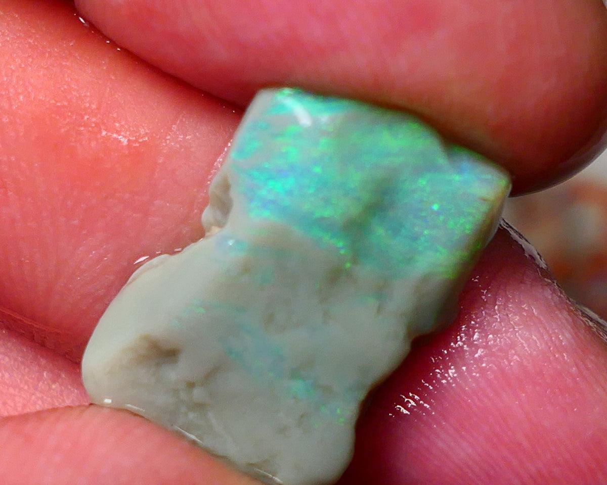 Lightning Ridge Gamble opal rough 10.00cts showing nice bright Green colours 21x14x5mm ALP138