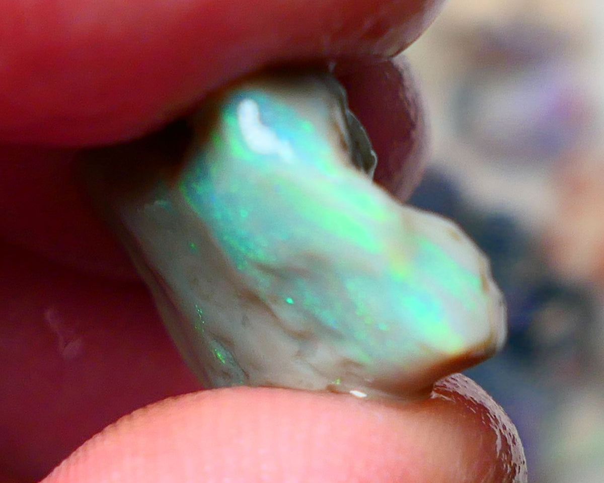 Lightning Ridge Gamble opal rough 10.00cts showing nice bright Green colours 21x14x5mm ALP138