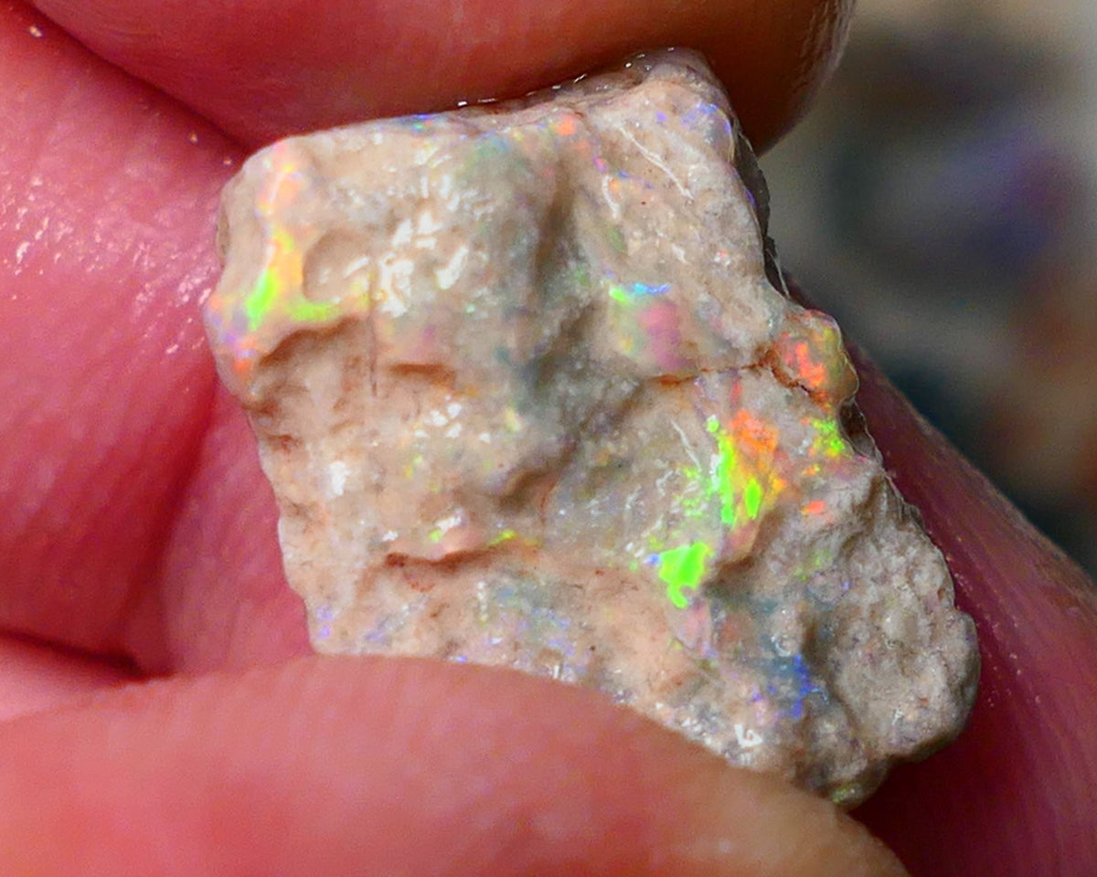 Lightning Ridge Gamble knobby opal formation rough showing Vibrant bright Multi colours 17x12x7mm AL139