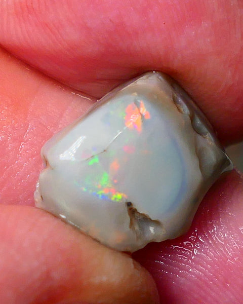 Lightning Ridge Gamble opal rough rub 7.50cts showing nice bright Multi colours 15x12x7mm ALP143