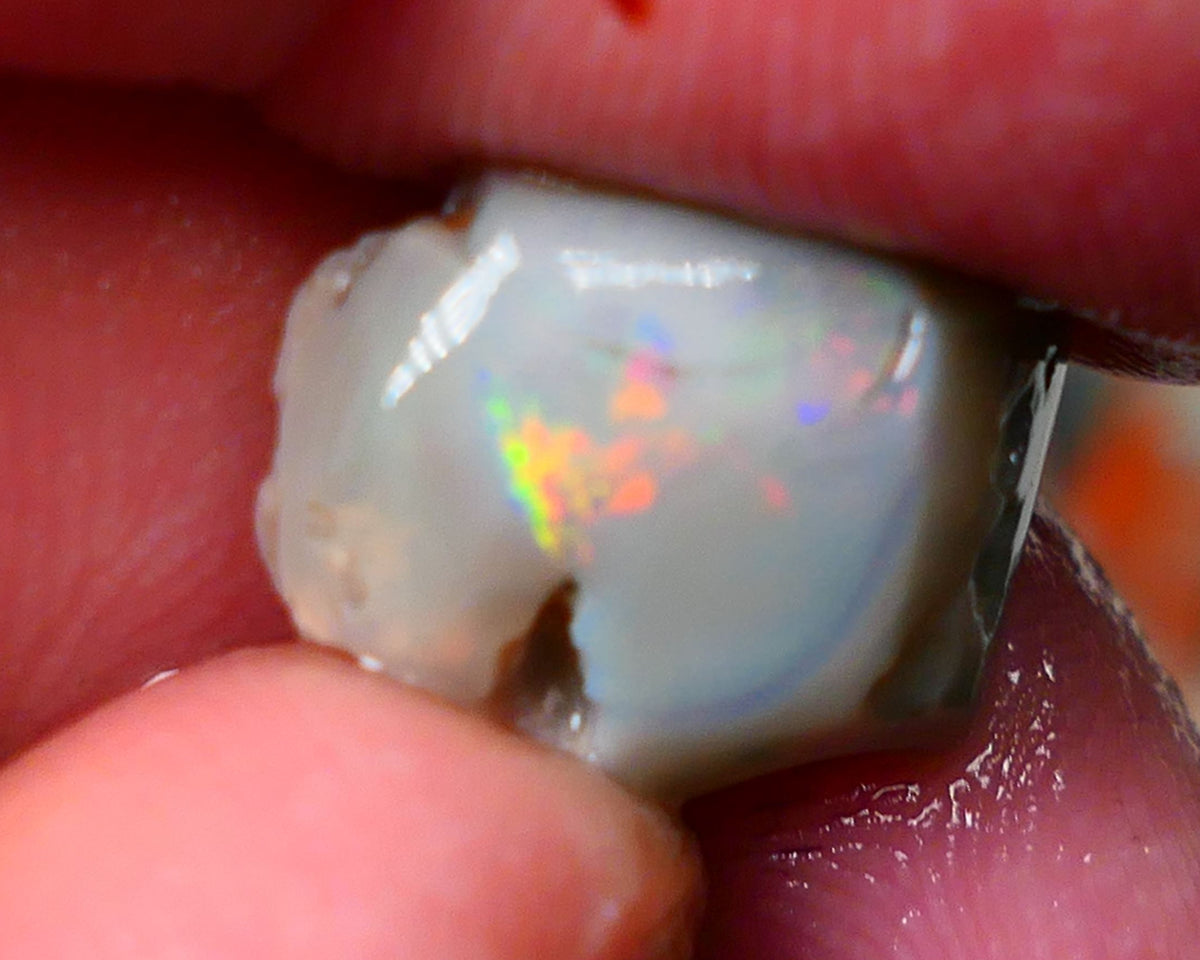 Lightning Ridge Gamble opal rough rub 7.50cts showing nice bright Multi colours 15x12x7mm ALP143