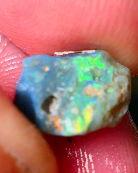 Lightning Ridge Gamble opal rough showing nice bright colours details to come cts ALP1xx