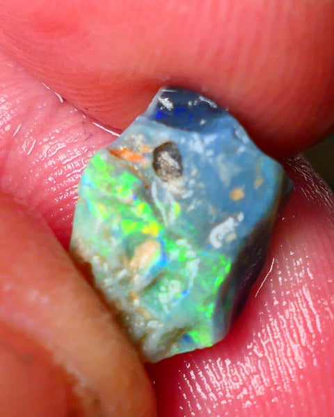 Lightning Ridge Gamble opal rough showing nice bright colours details to come cts ALP1xx