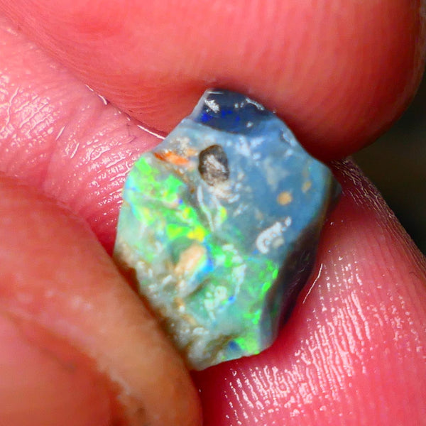 Lightning Ridge Gamble opal rough 2.60cts showing Gorgeous bright Multi colours 11x9x4mm ALP152