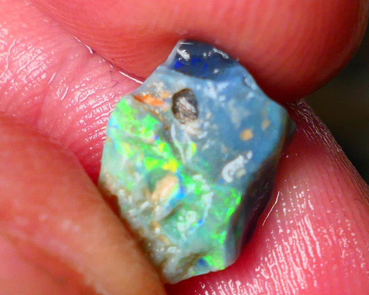 Lightning Ridge Gamble opal rough 2.60cts showing Gorgeous bright Multi colours 11x9x4mm ALP152