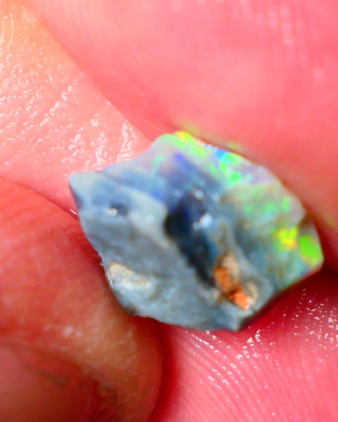 Lightning Ridge Gamble opal rough showing nice bright colours details to come cts ALP1xx