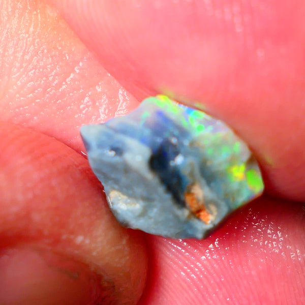 Lightning Ridge Gamble opal rough 2.60cts showing Gorgeous bright Multi colours 11x9x4mm ALP152