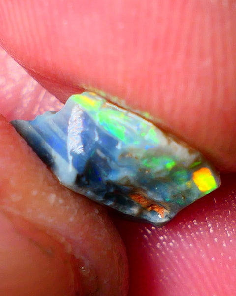 Lightning Ridge Gamble opal rough showing nice bright colours details to come cts ALP1xx