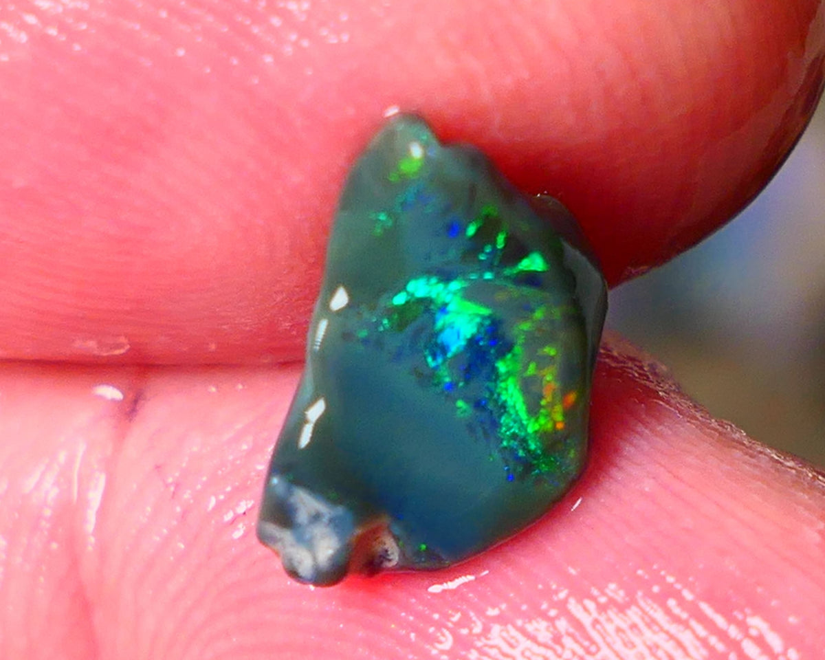 Lightning Ridge Gamble opal rough showing nice bright colours details to come cts ALP1xx