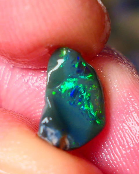 Lightning Ridge Gamble opal rough showing nice bright colours details to come cts ALP1xx