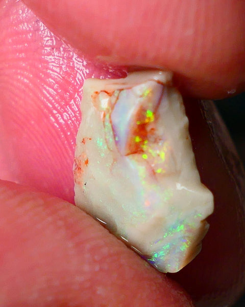 Lightning Ridge Gamble opal rough showing nice bright colours details to come cts ALP1xx