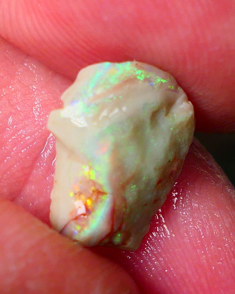 Lightning Ridge Gamble opal rough showing nice bright colours details to come cts ALP1xx