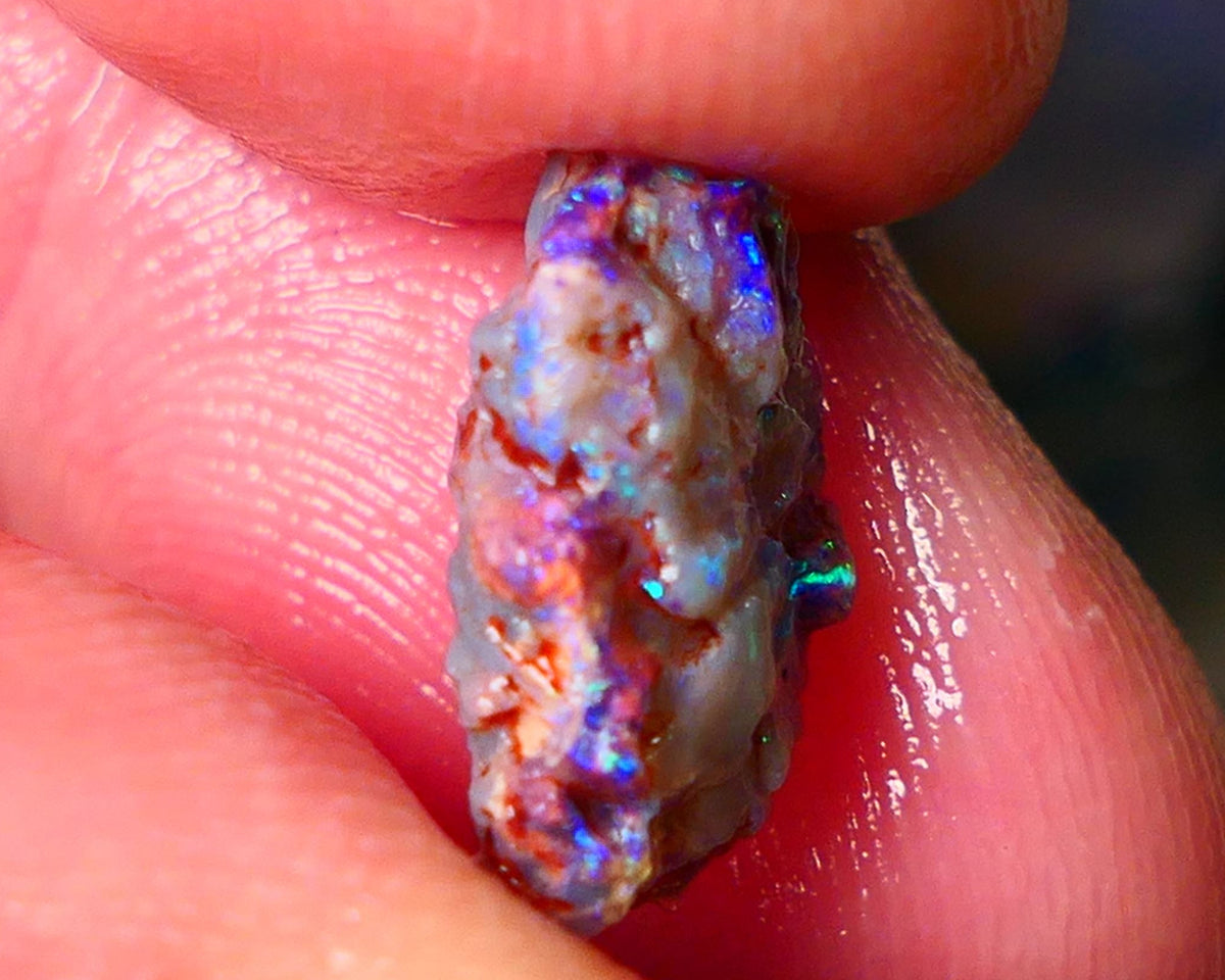 Lightning Ridge Gamble opal rough showing nice bright colours details to come cts ALP1xx