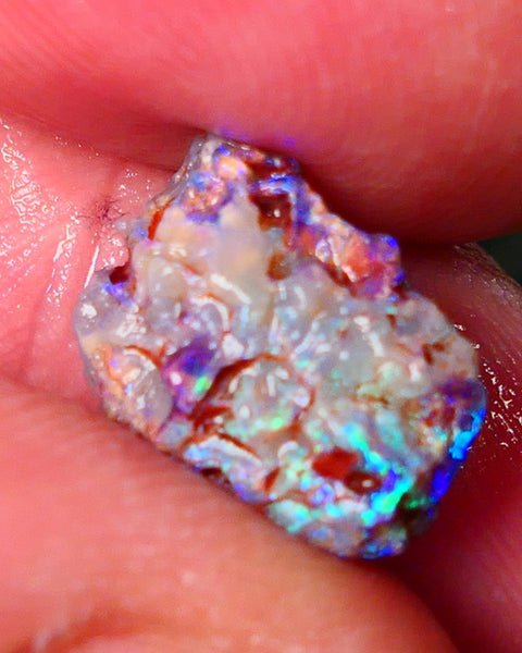 Lightning Ridge Gamble opal rough showing nice bright colours details to come cts ALP1xx