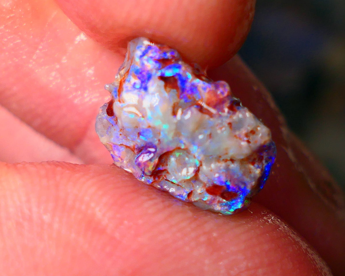 Lightning Ridge Gamble opal rough showing nice bright colours details to come cts ALP1xx