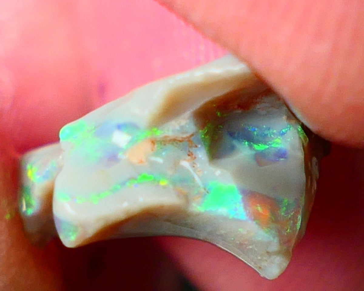 Lightning Ridge Gamble opal rough 4.50cts showing Very bright Multi colours 16x14x8mm ALP148