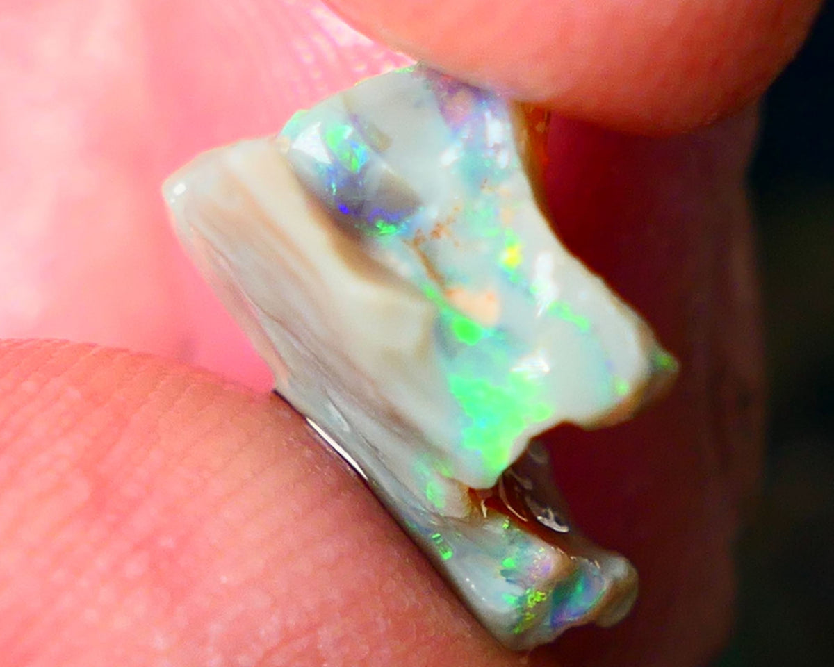 Lightning Ridge Gamble opal rough 4.50cts showing Very bright Multi colours 16x14x8mm ALP148