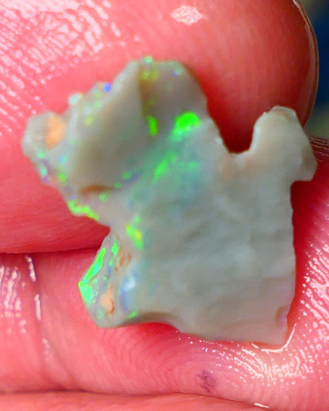 Lightning Ridge Gamble opal rough showing nice bright colours details to come cts ALP1xx