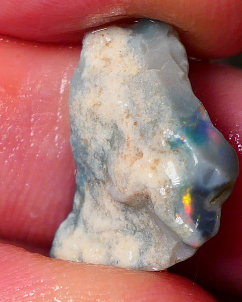 Lightning Ridge Gamble opal rough showing nice bright colours details to come cts ALP1xx