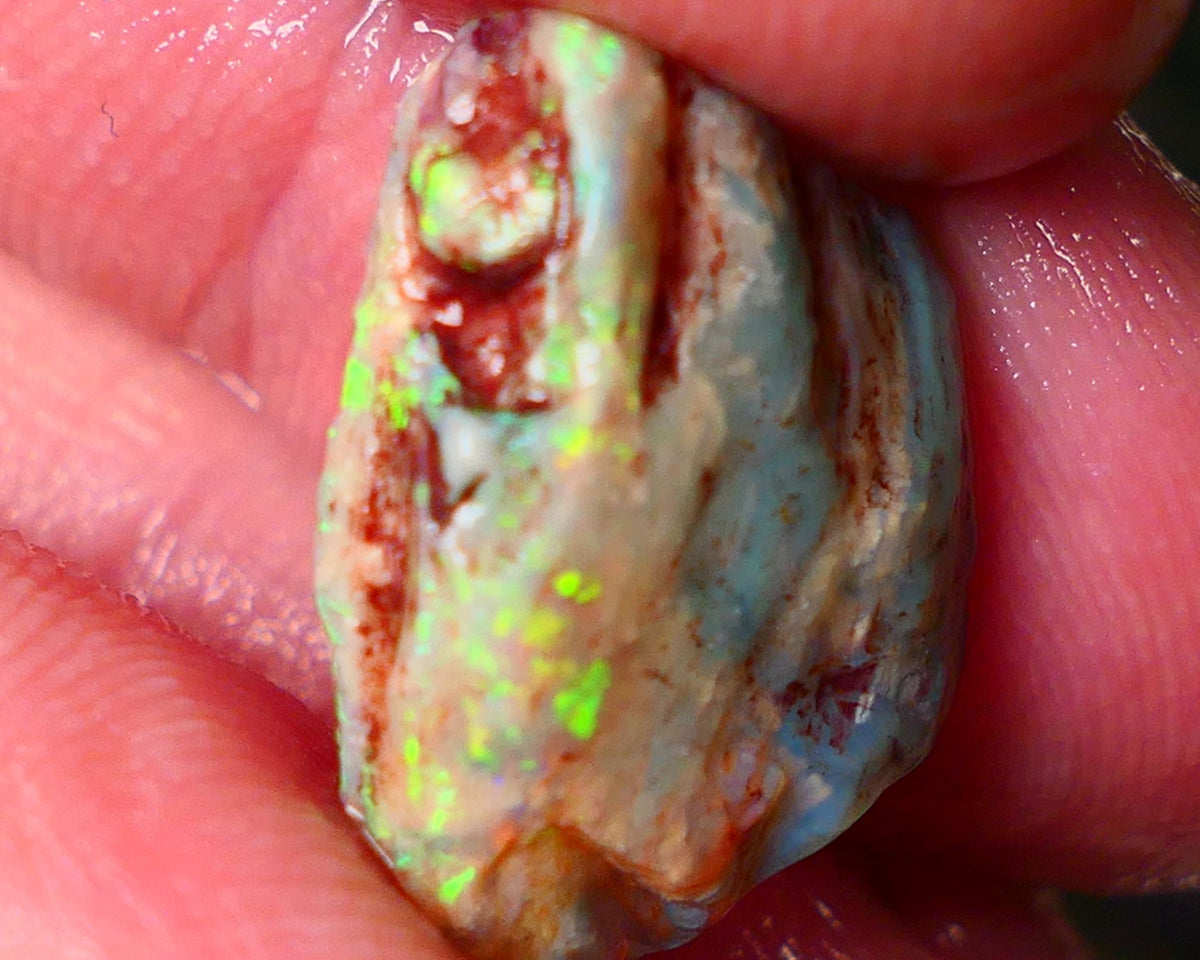 Lightning Ridge Knobby opal rough 9.25cts showing nice bright Multi colours  19x14x7mm ALP146