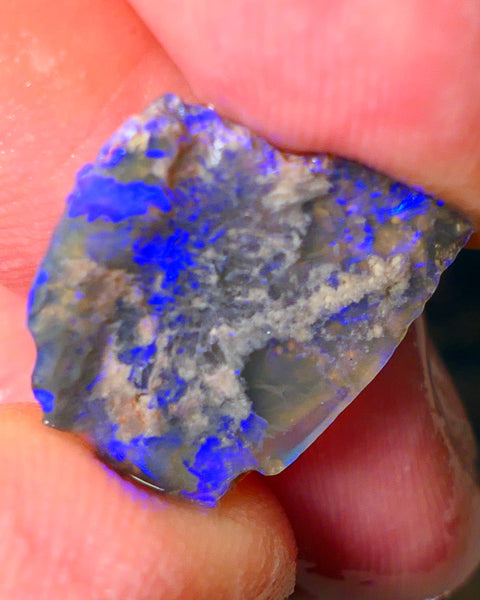 Lightning Ridge Gamble opal rough showing nice bright colours details to come cts ALP1xx