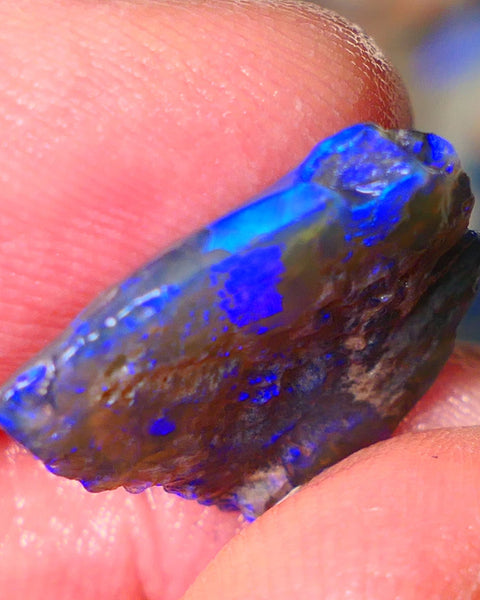 Lightning Ridge Gamble opal rough showing nice bright colours details to come cts ALP1xx