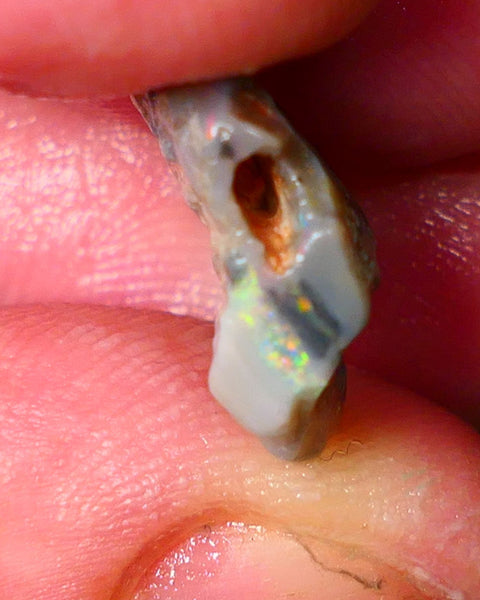 Lightning Ridge Rough Opal 6.25cts Gamble knobby dark base 18x14x3mm auction21