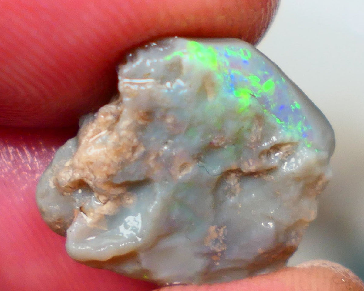 Opal Fever Mate Auction