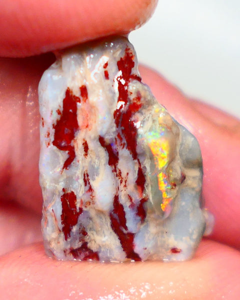 Lightning Ridge knobby opal formation rough 10.00cts showing Bright and Vibrant Orange fires Gamble or collect 19x13x8mm Auction42