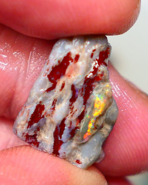 Lightning Ridge knobby opal formation rough xxx cts showing Bright and Vibrant Orange fires Gamble or collect Auction42