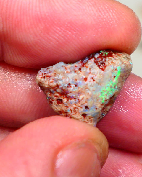 Lightning Ridge Rough Opal formation 9.50cts interesting exotic piece Green & Blue dominant multifires 18x14x7mm Auction56