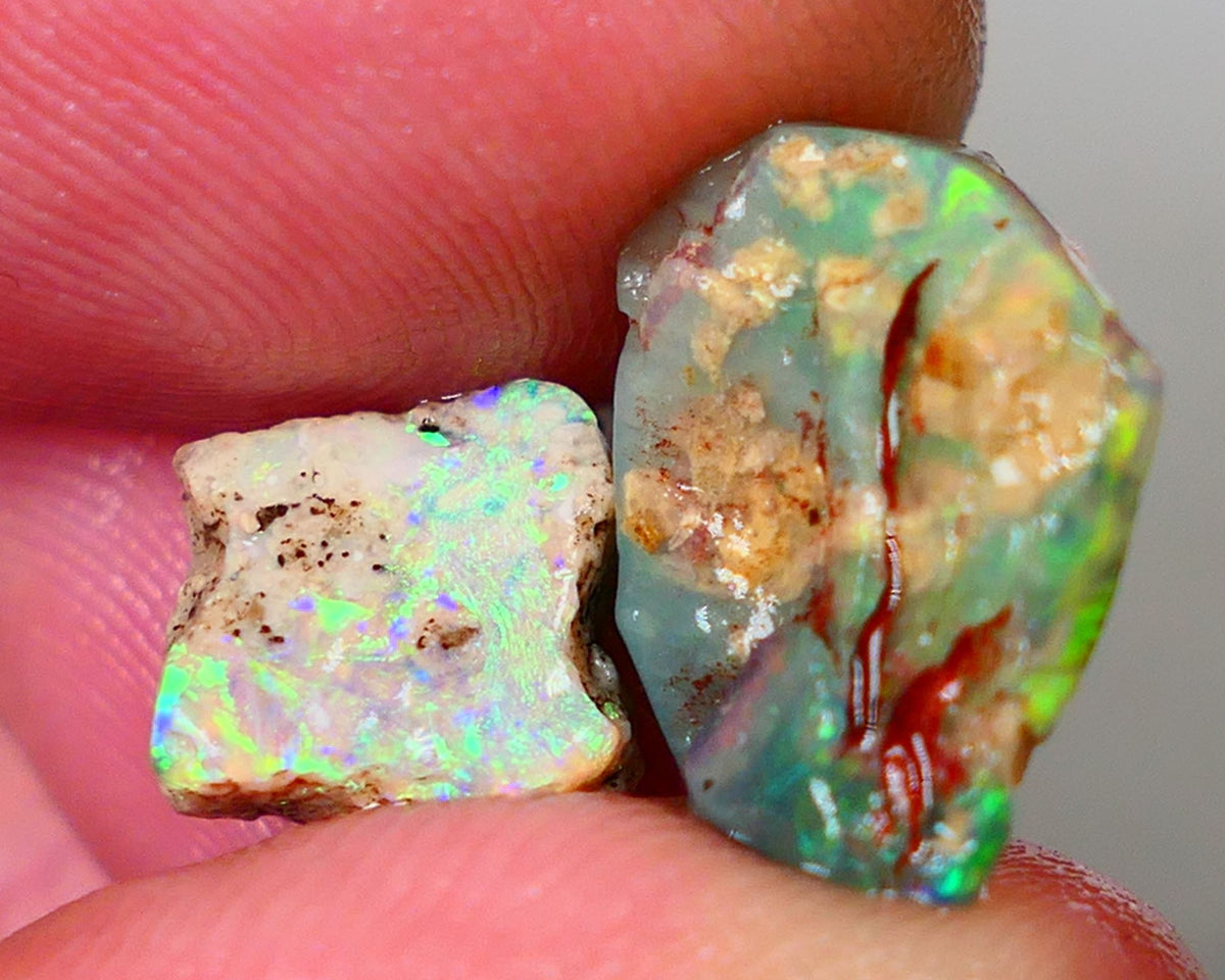 Pair of Exotic Opalised Wood fossils 9.75CTS rub/rough L/Ridge Bright Multi colours 14x12x6mm & 9x9x6mm Auction45