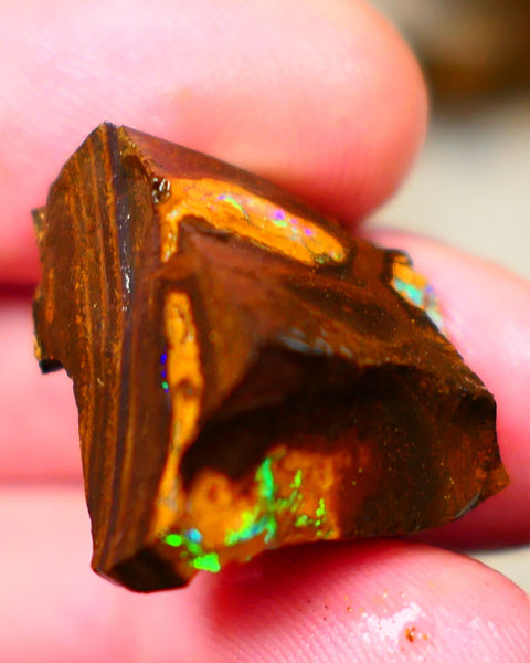 Winton Gem Boulder opal to cut 57.00cts Wonderful Bright & Vibrant Multifires showing on 4 sides time to take the cap off who wants it ? Auction91