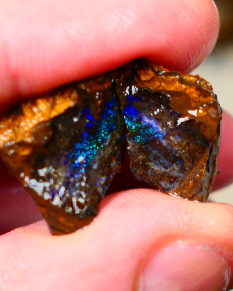 Winton Boulder opal rough split pair Ironstone host 33.00cts Stunning Gorgeous Blue fires 16x14x11mm & 21x12x11mm Auction67